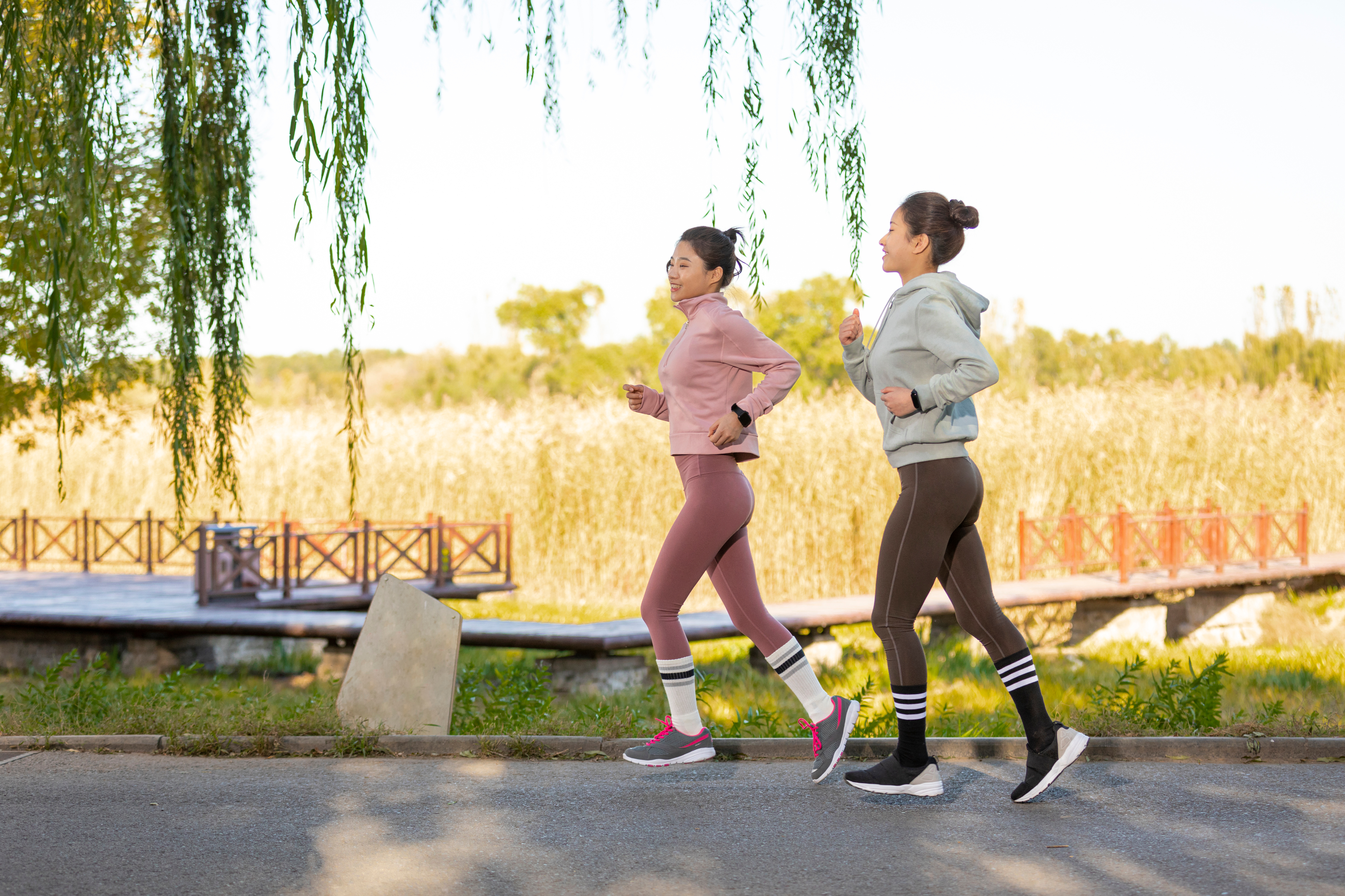 라이프스타일 관리